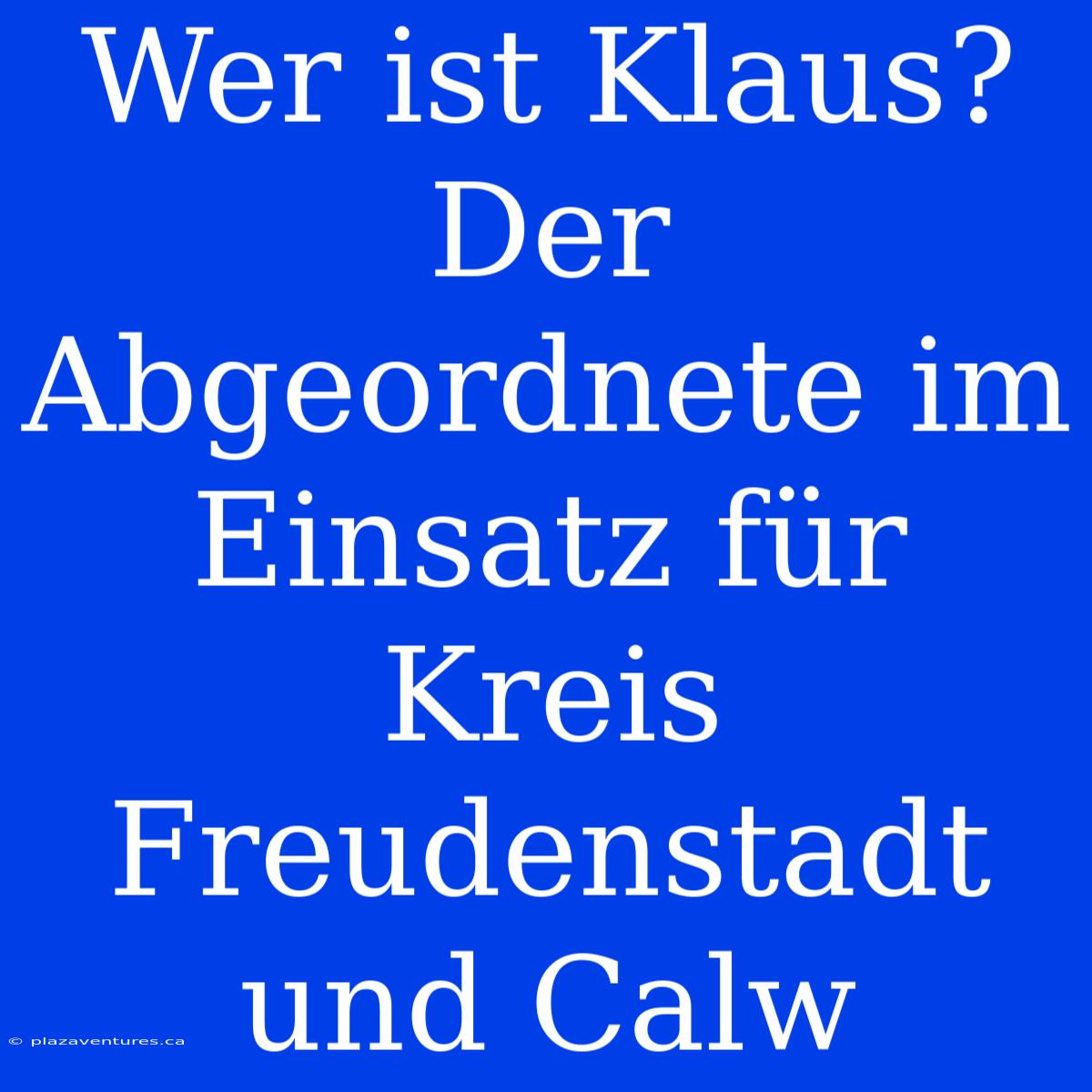 Wer Ist Klaus? Der Abgeordnete Im Einsatz Für Kreis Freudenstadt Und Calw