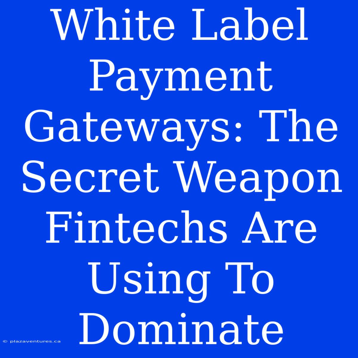 White Label Payment Gateways: The Secret Weapon Fintechs Are Using To Dominate