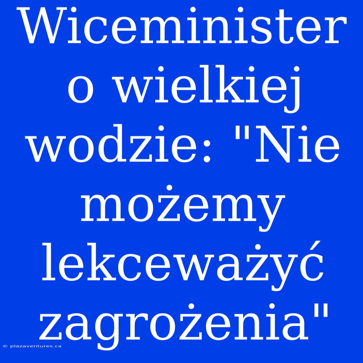 Wiceminister O Wielkiej Wodzie: 