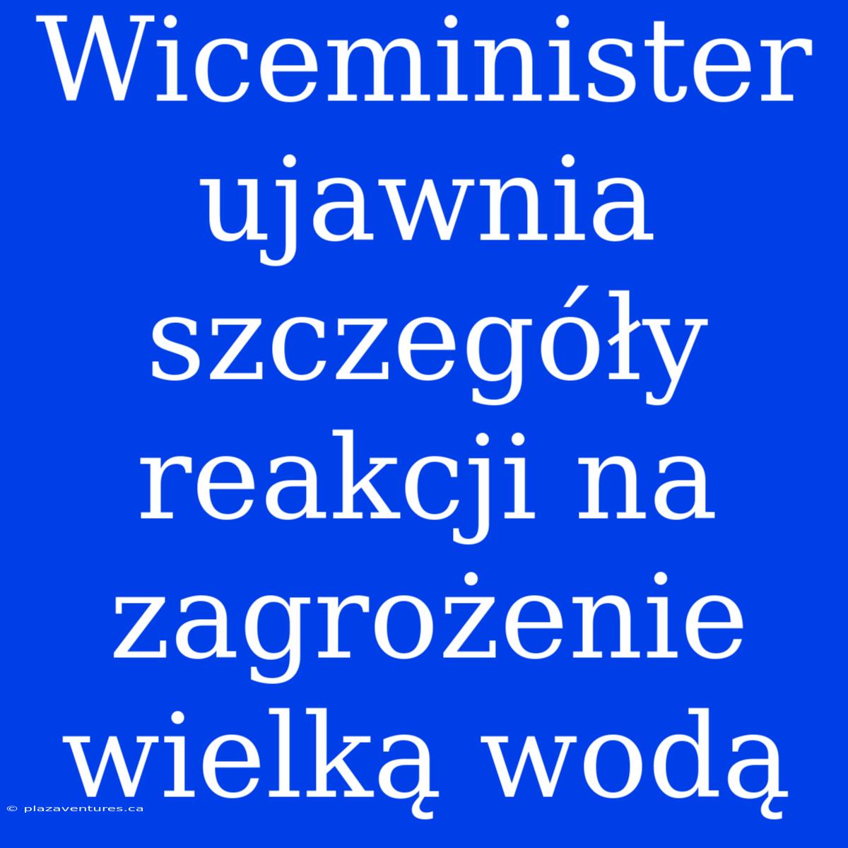 Wiceminister Ujawnia Szczegóły Reakcji Na Zagrożenie Wielką Wodą