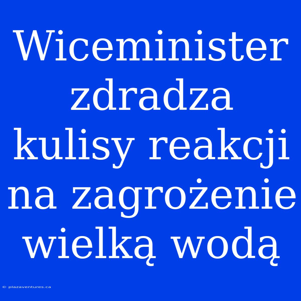 Wiceminister Zdradza Kulisy Reakcji Na Zagrożenie Wielką Wodą