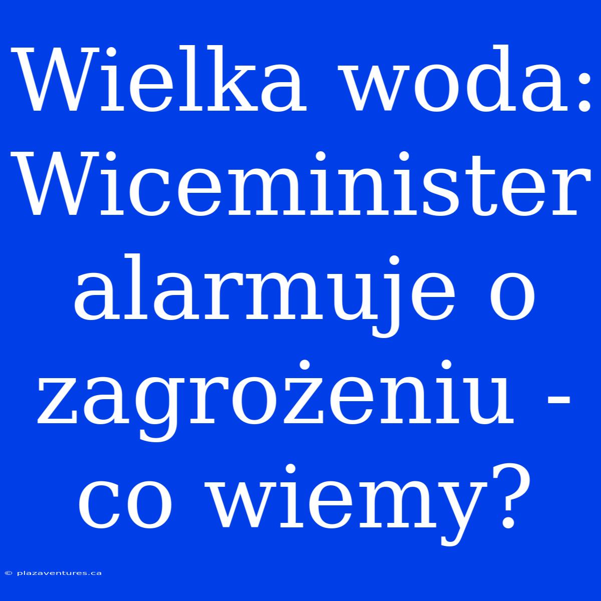 Wielka Woda: Wiceminister Alarmuje O Zagrożeniu - Co Wiemy?