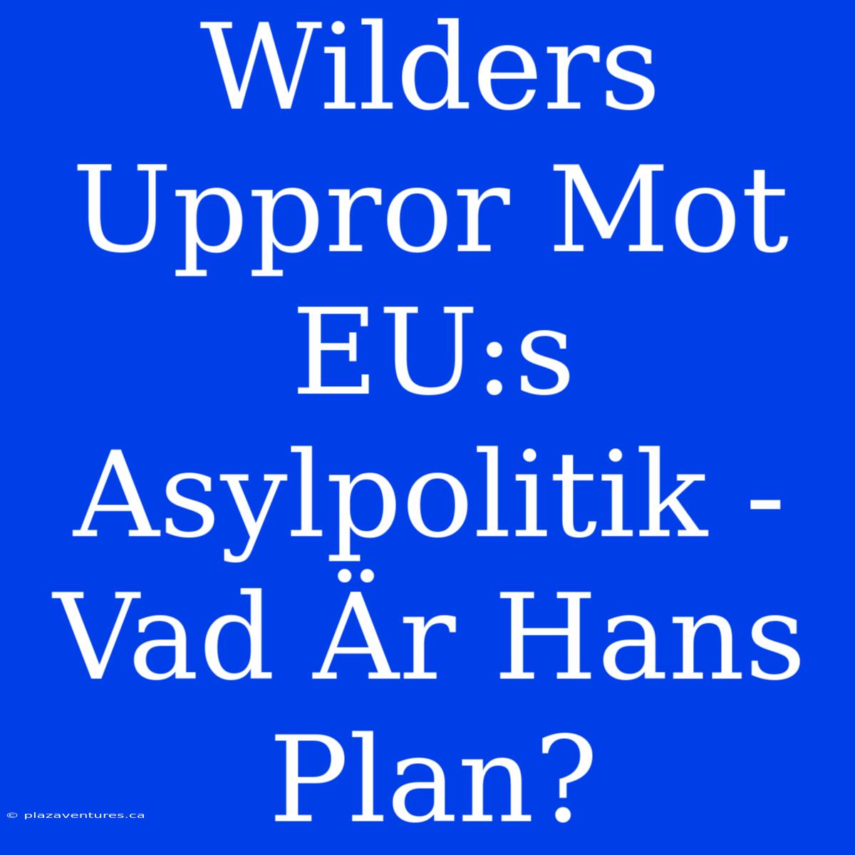 Wilders Uppror Mot EU:s Asylpolitik - Vad Är Hans Plan?