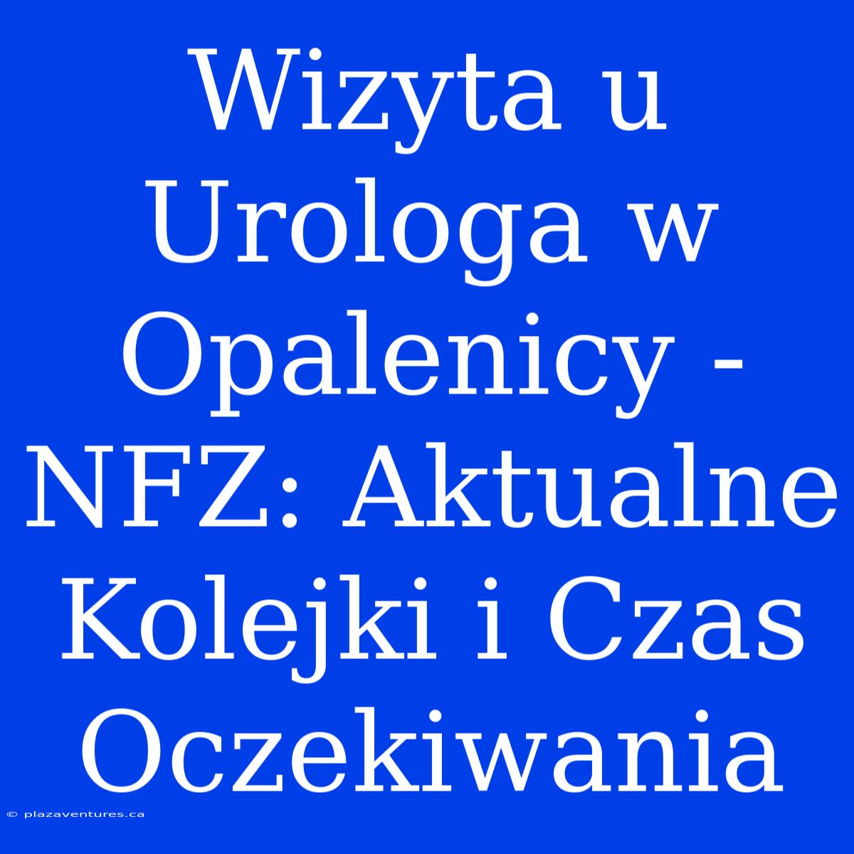 Wizyta U Urologa W Opalenicy - NFZ: Aktualne Kolejki I Czas Oczekiwania