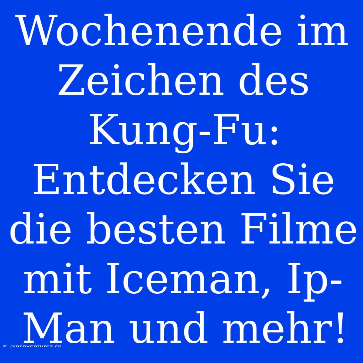 Wochenende Im Zeichen Des Kung-Fu: Entdecken Sie Die Besten Filme Mit Iceman, Ip-Man Und Mehr!