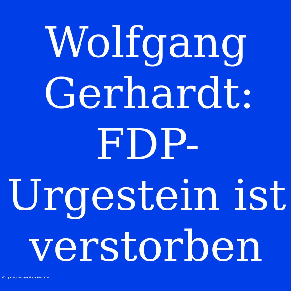 Wolfgang Gerhardt: FDP-Urgestein Ist Verstorben