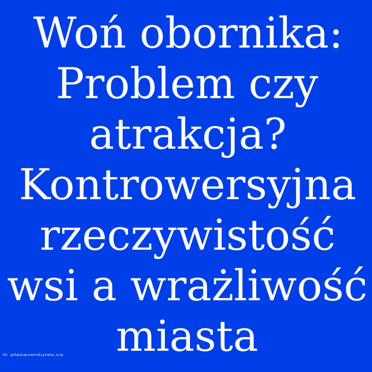 Woń Obornika: Problem Czy Atrakcja? Kontrowersyjna Rzeczywistość Wsi A Wrażliwość Miasta