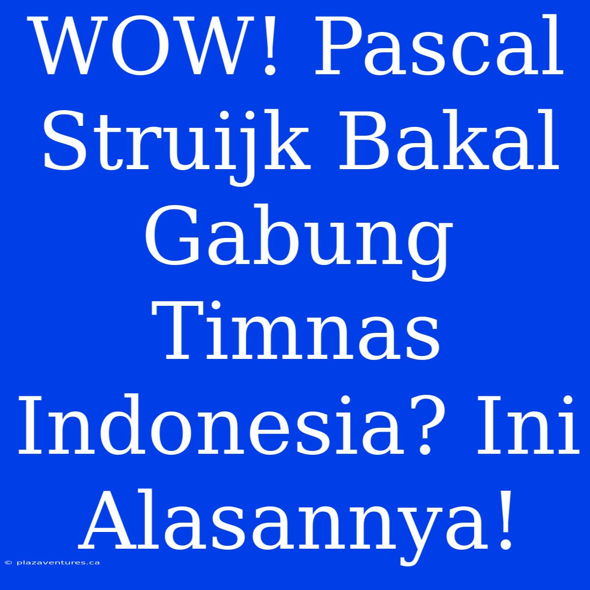 WOW! Pascal Struijk Bakal Gabung Timnas Indonesia? Ini Alasannya!