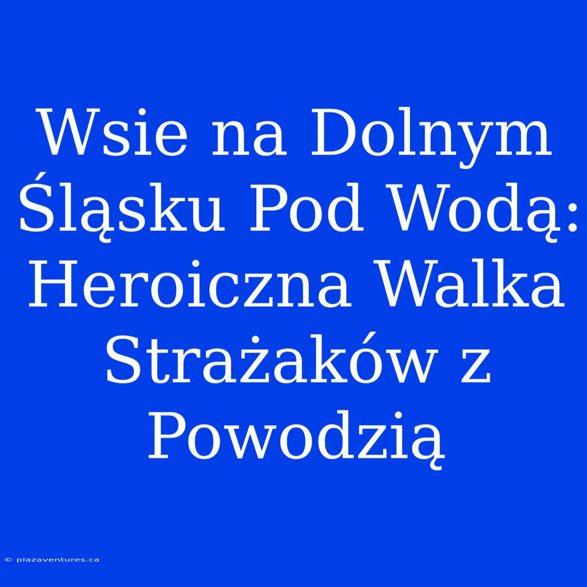 Wsie Na Dolnym Śląsku Pod Wodą: Heroiczna Walka Strażaków Z Powodzią