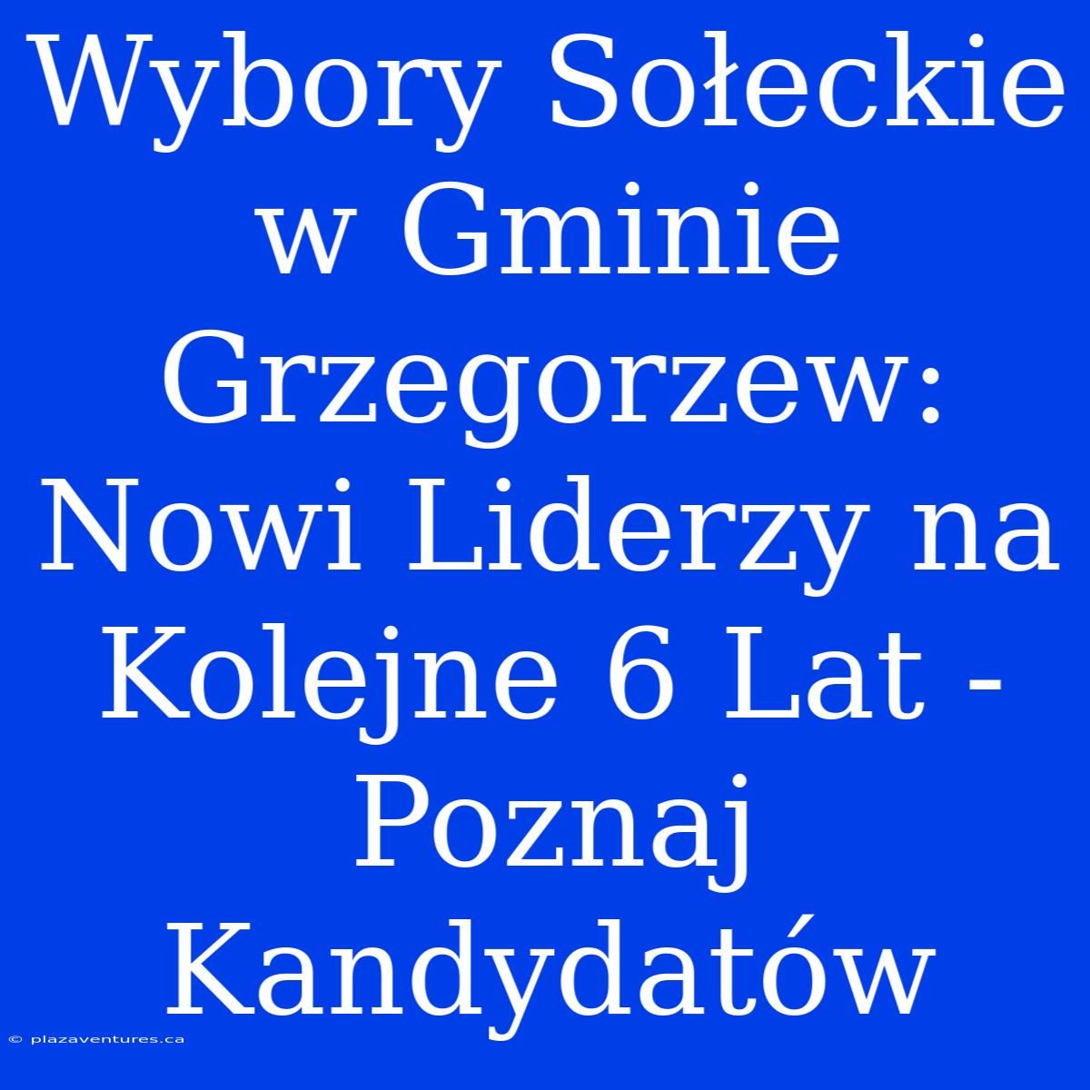 Wybory Sołeckie W Gminie Grzegorzew: Nowi Liderzy Na Kolejne 6 Lat - Poznaj Kandydatów