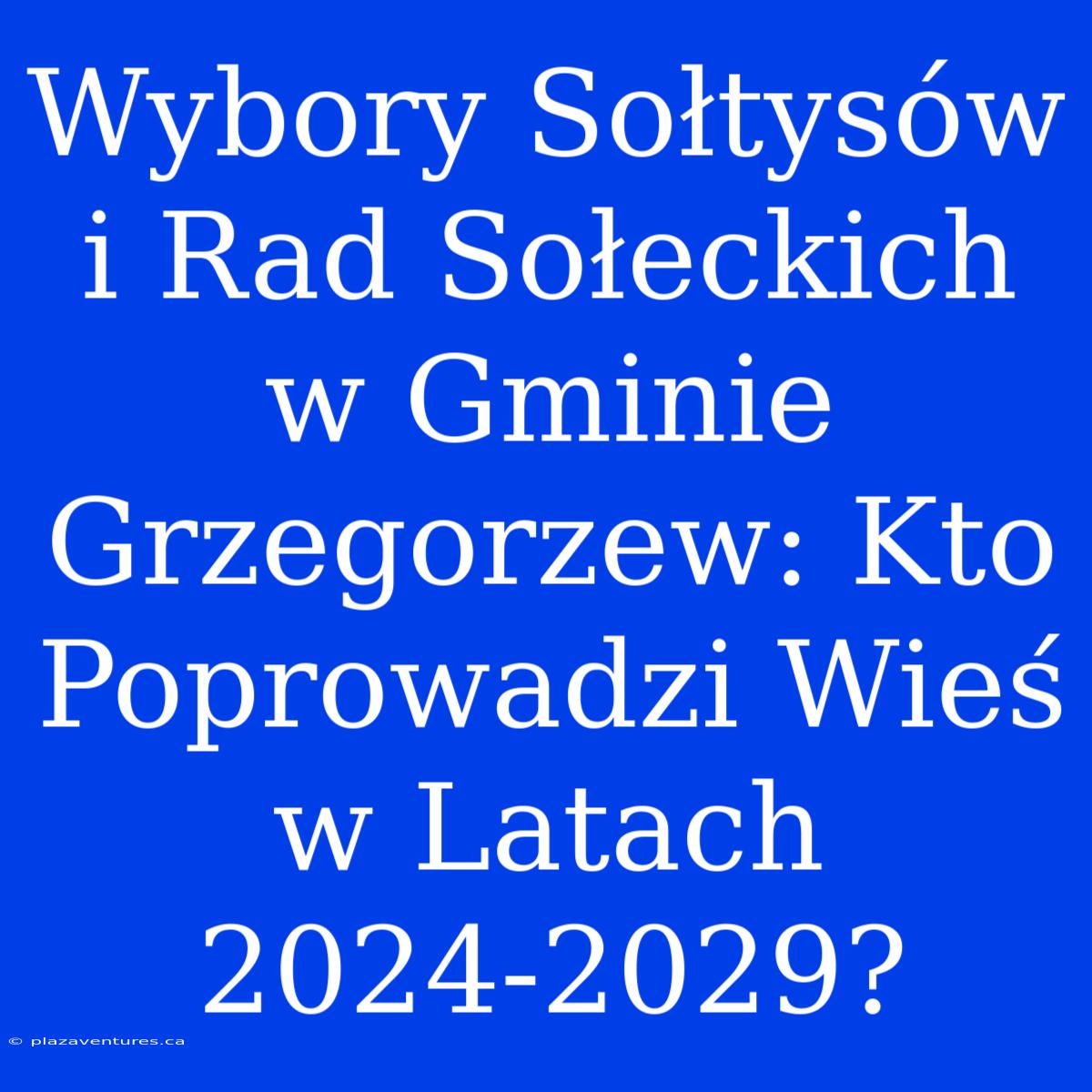 Wybory Sołtysów I Rad Sołeckich W Gminie Grzegorzew: Kto Poprowadzi Wieś W Latach 2024-2029?