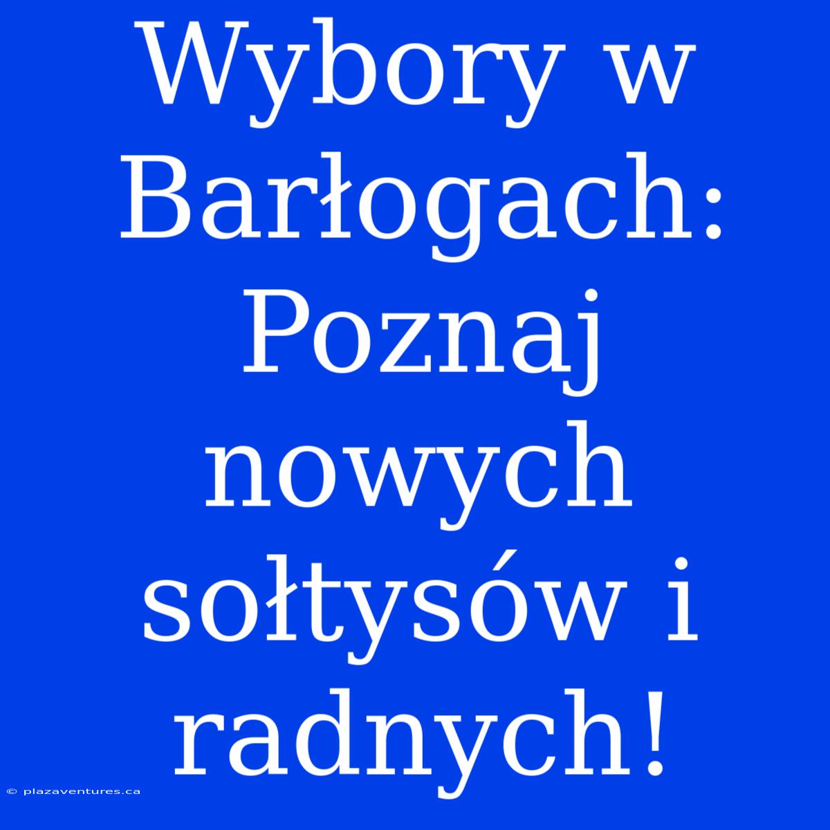 Wybory W Barłogach: Poznaj Nowych Sołtysów I Radnych!