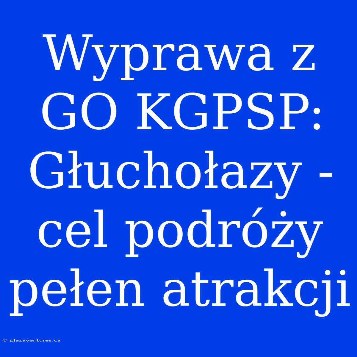 Wyprawa Z GO KGPSP: Głuchołazy - Cel Podróży Pełen Atrakcji