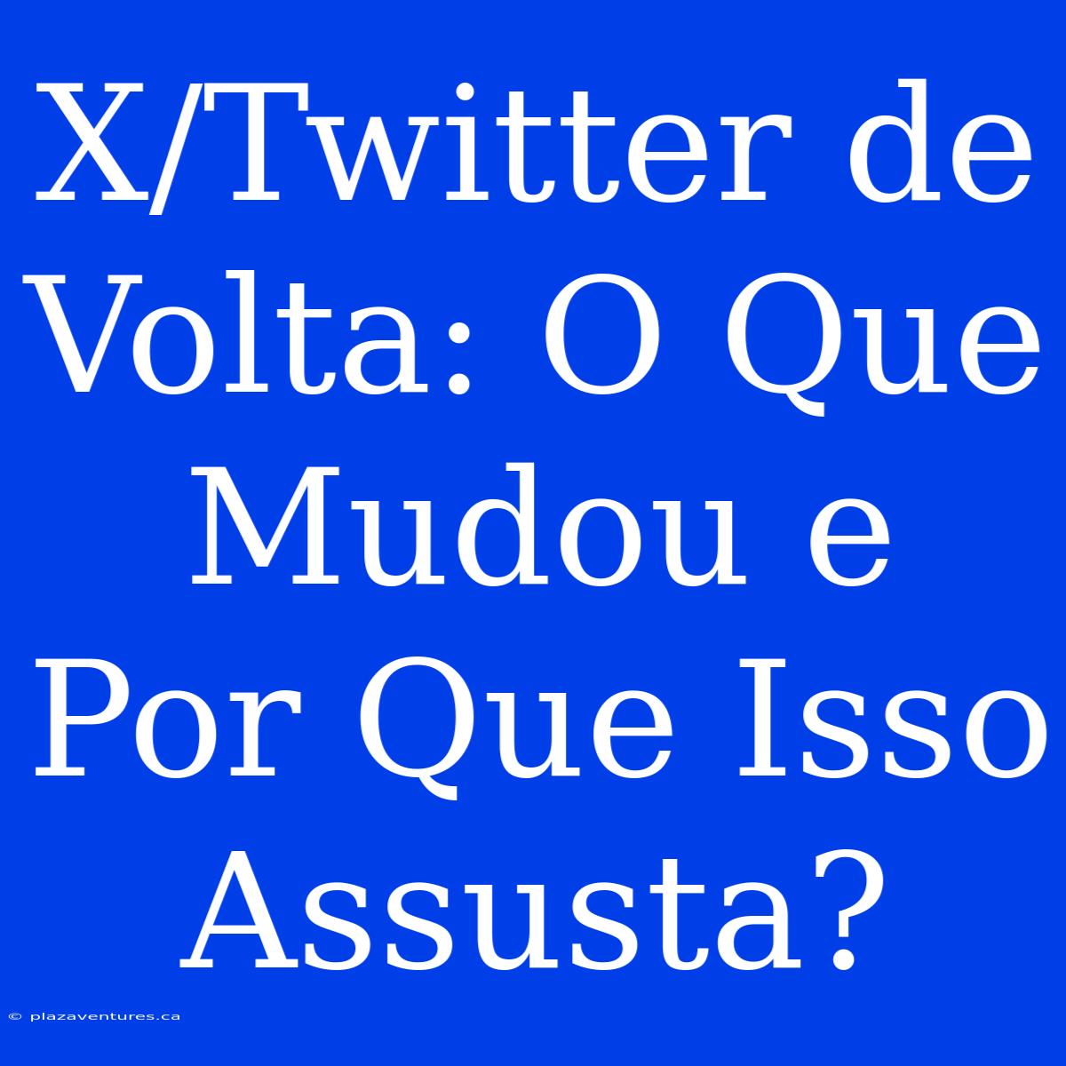 X/Twitter De Volta: O Que Mudou E Por Que Isso Assusta?