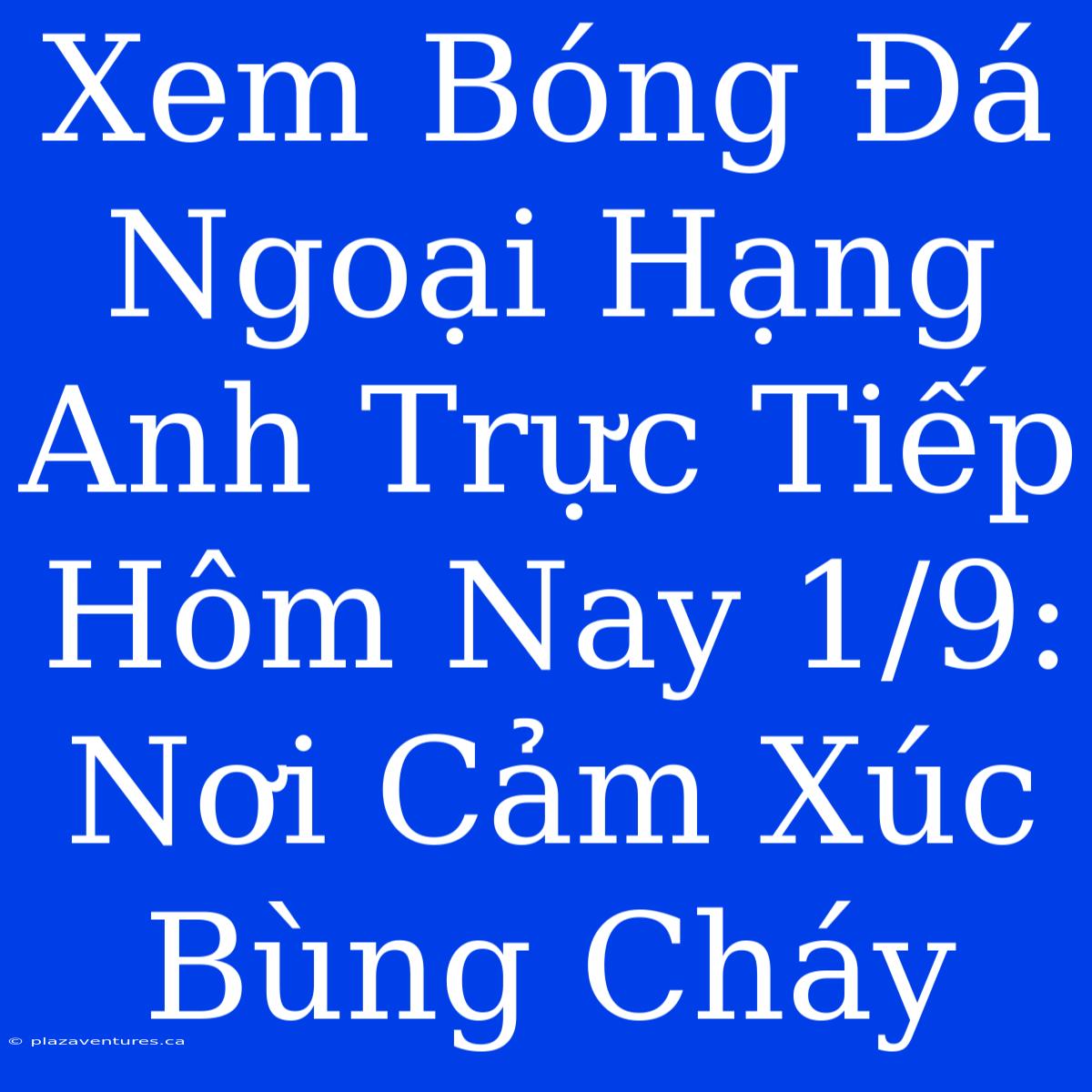 Xem Bóng Đá Ngoại Hạng Anh Trực Tiếp Hôm Nay 1/9: Nơi Cảm Xúc Bùng Cháy