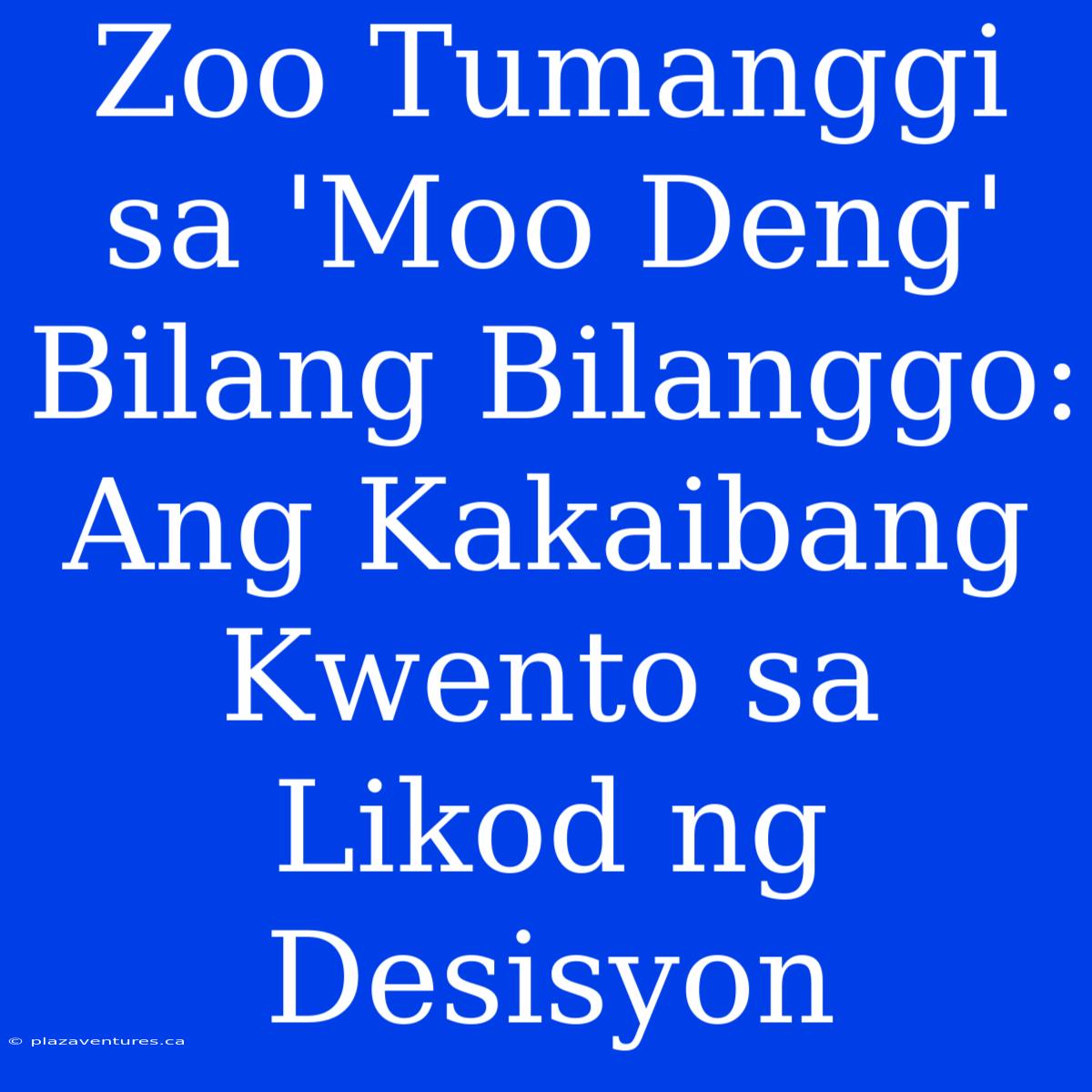 Zoo Tumanggi Sa 'Moo Deng' Bilang Bilanggo: Ang Kakaibang Kwento Sa Likod Ng Desisyon