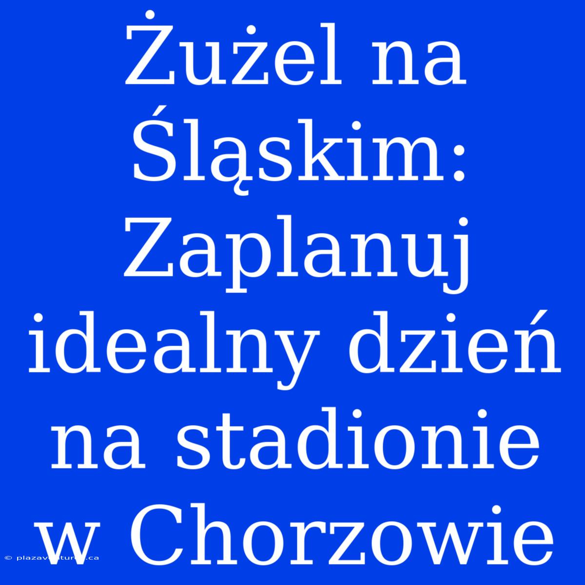 Żużel Na Śląskim: Zaplanuj Idealny Dzień Na Stadionie W Chorzowie