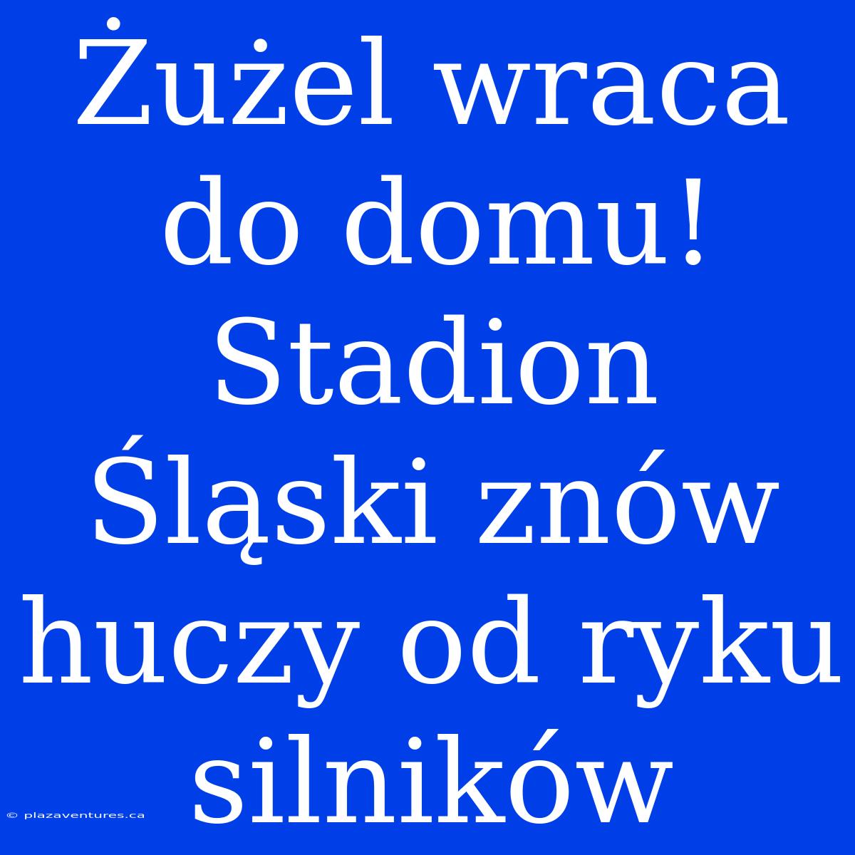 Żużel Wraca Do Domu! Stadion Śląski Znów Huczy Od Ryku Silników