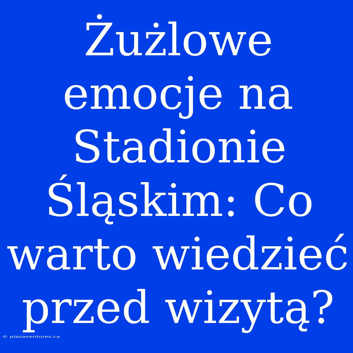 Żużlowe Emocje Na Stadionie Śląskim: Co Warto Wiedzieć Przed Wizytą?