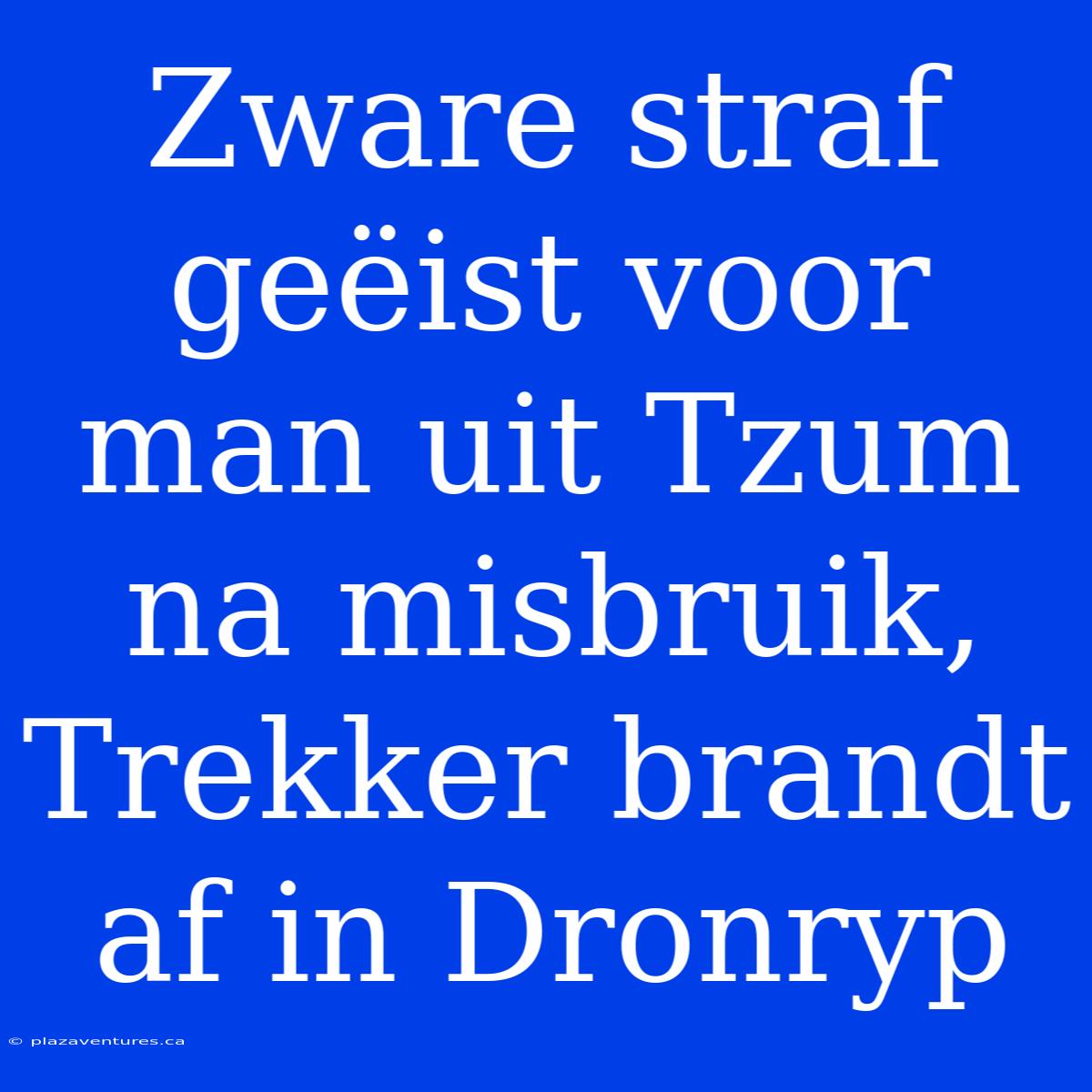 Zware Straf Geëist Voor Man Uit Tzum Na Misbruik, Trekker Brandt Af In Dronryp